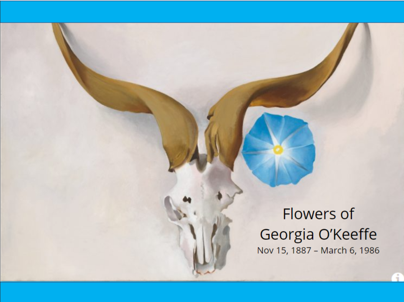 The Flowers of Georgia O’Keeffe